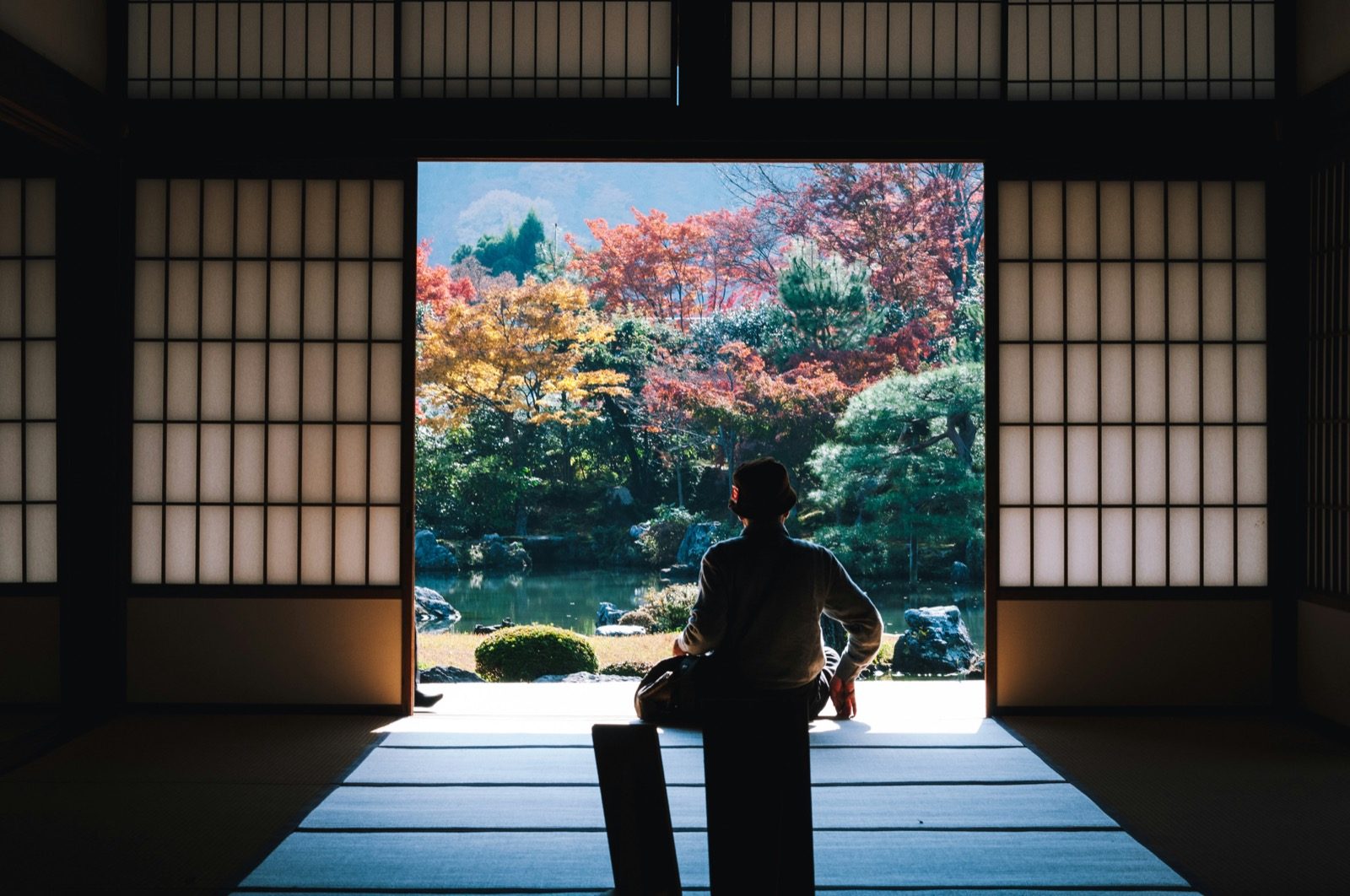 Autumn maple garden seen from a temple hall in Kyoto