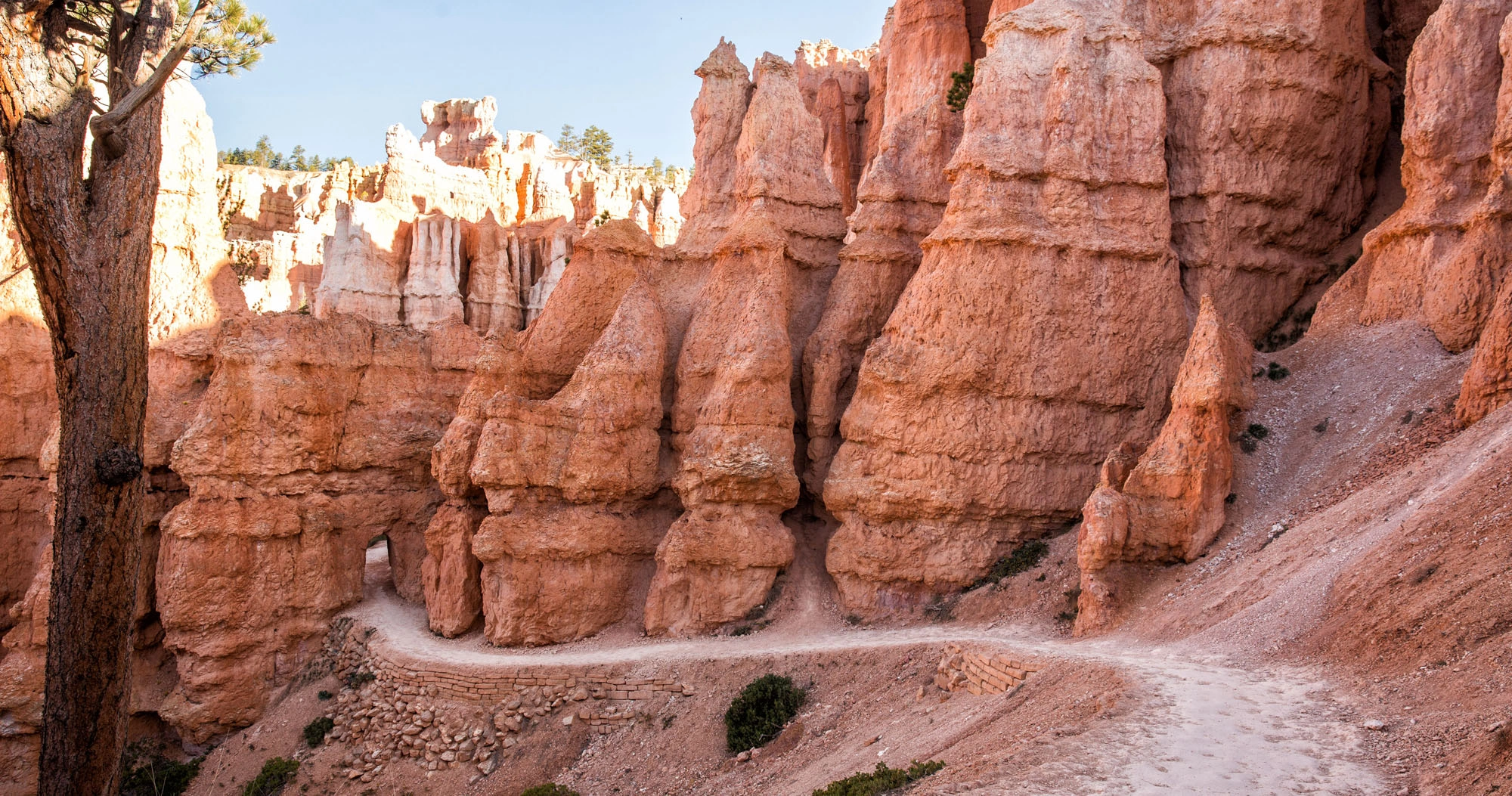 Wow National Parks Usa 2026